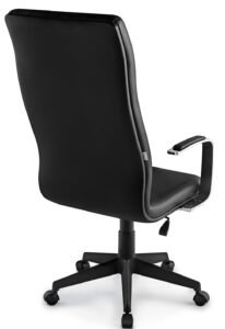 Boss-presidente-posterior(nylon)