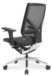 Dom-diretor-posterior(01)