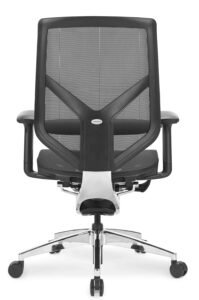 Dom-diretor-posterior(02)