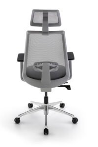 Vitta-gerente-posteior (1)